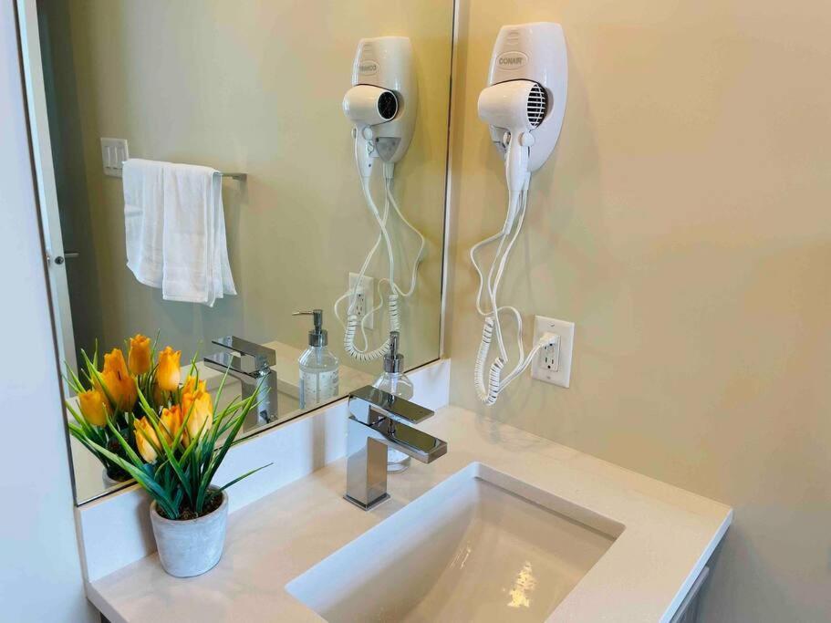 Modern 2 Bedroom Ocean Views Victoria Downtown Free Parking Exterior foto